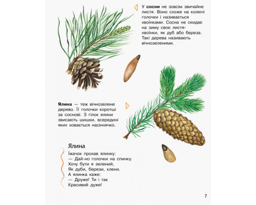 Детская энциклопедия про лес 614016 для дошкольников