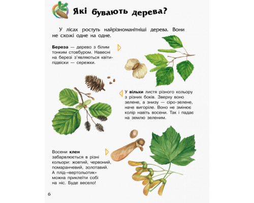 Детская энциклопедия про лес 614016 для дошкольников