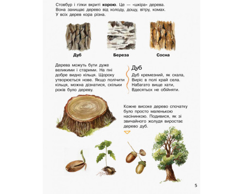 Детская энциклопедия про лес 614016 для дошкольников