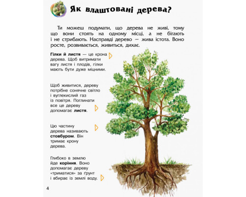 Детская энциклопедия про лес 614016 для дошкольников