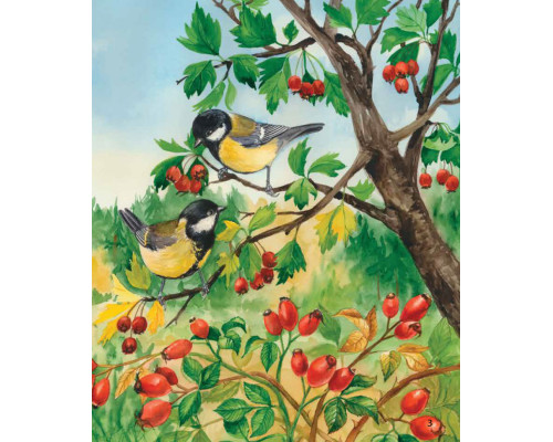 Детская энциклопедия про лес 614016 для дошкольников