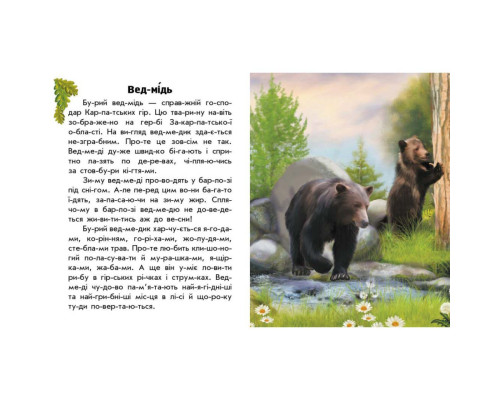 Читаю про Украину по слогам "Животные гор" 366021 с цветными иллюстрациями