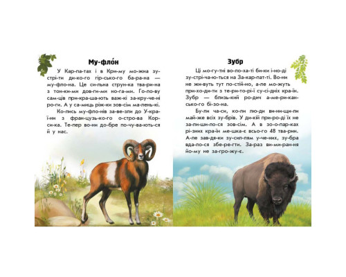 Читаю про Украину по слогам "Животные гор" 366021 с цветными иллюстрациями