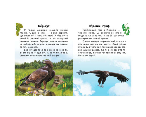 Читаю про Украину по слогам "Животные гор" 366021 с цветными иллюстрациями