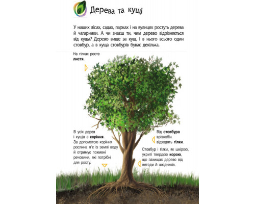 Детская энциклопедия про природу 614008 для дошкольников