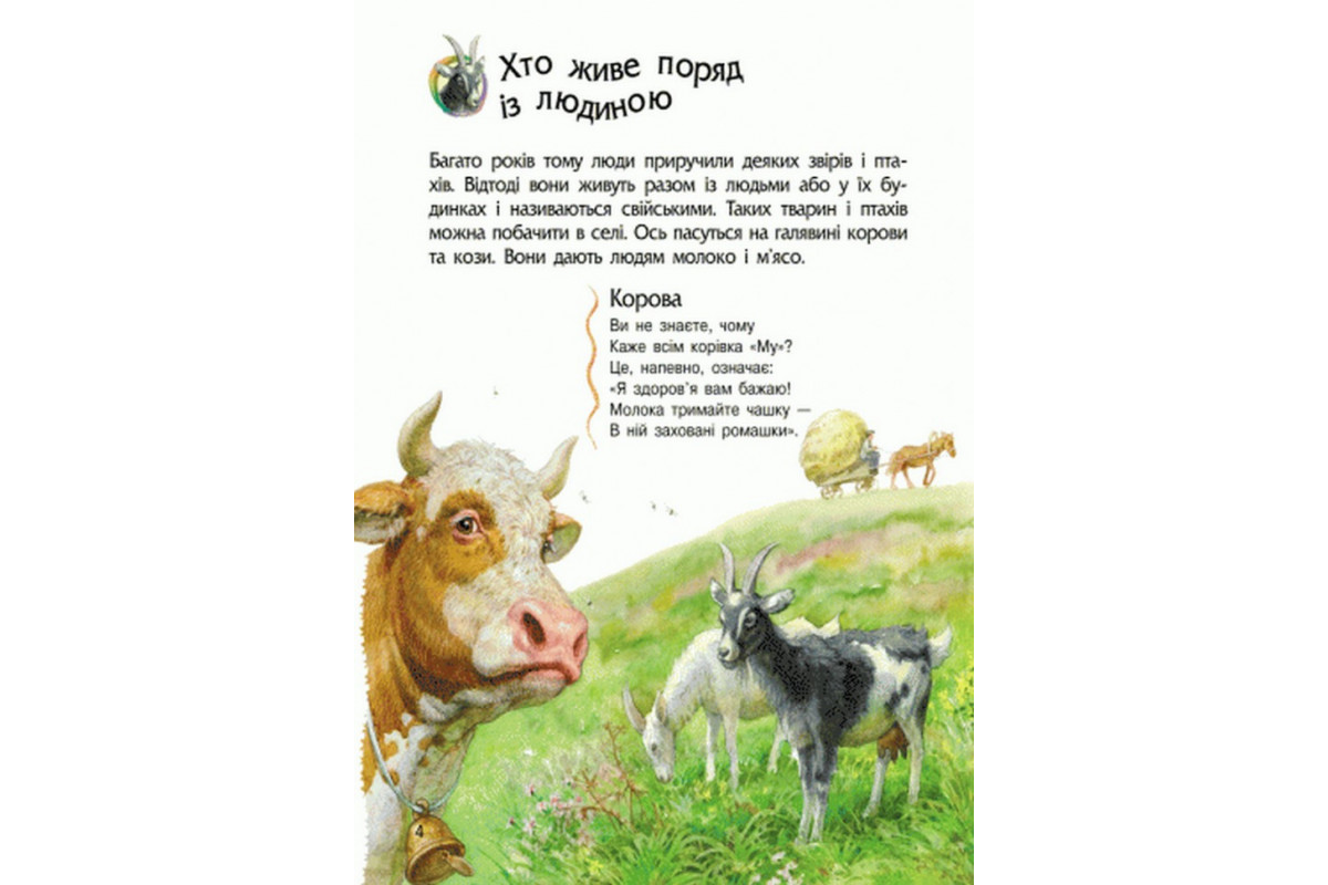 Детская энциклопедия про животных 614005 для дошкольников Детская энциклопедия про животных 614005 для дошкольников