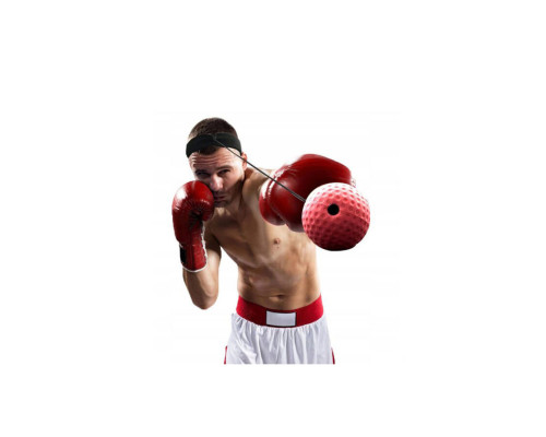 Тренажер для бокса "Fight Ball" NE-LG-F02