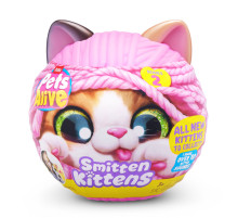Интерактивный игровой набор-сюрприз Игривые котята Pets & Robo Alive S2 9568, 10 разных звуков