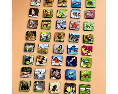 Настольная развивающая игра "Виды животных" Ubumblebees (ПСФ110) PSF110 комодик-сортер