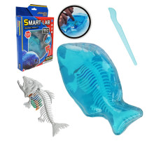 Дитячий лабораторнний набір "Піран’я" 802B, скелет, внутрішні органи