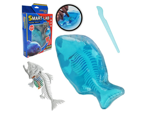 Дитячий лабораторнний набір "Піран’я" 802B, скелет, внутрішні органи