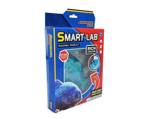 Дитячий лабораторнний набір "Піран’я" 802B, скелет, внутрішні органи