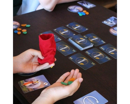 Настольная игра  "Эквилибриум" LP8045-51 украинский язык