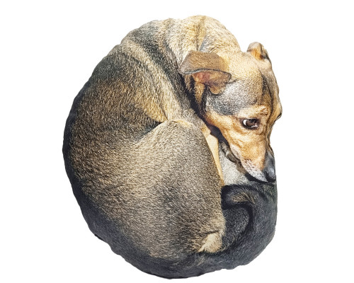 Дитяча м'яка іграшка "Собака Маня" DOG-M 42 см