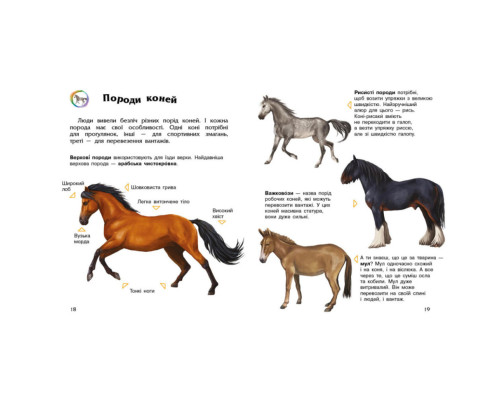 Енциклопедія дошкільника Коні 614037 для найменших