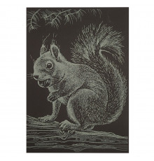 Гравюра А5 "Білочка" ГрА5з-13 економ варіант у пакеті 21 х 14,8 см