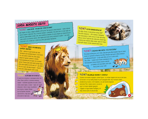 Енциклопедія у питаннях та відповідях "100 відповідей на запитання ЧОМУ?" 880003