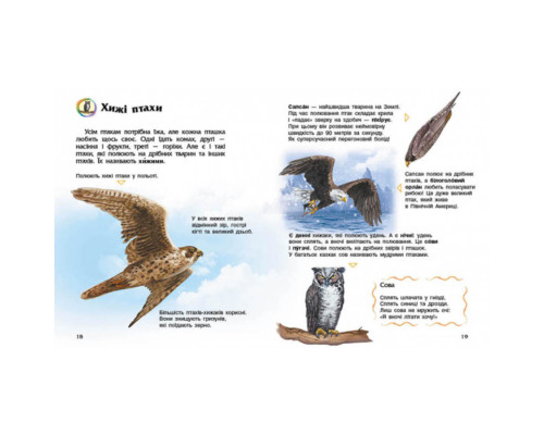 Енциклопедія дошкільника Птахи 614032 для найменших