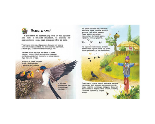 Енциклопедія дошкільника Птахи 614032 для найменших