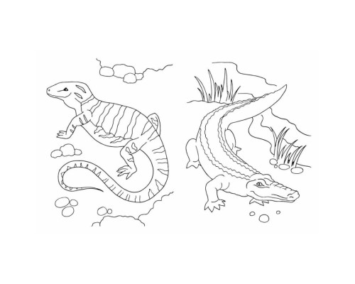 Велика книга розмальовок Тварини 1736031, 64 сторінки