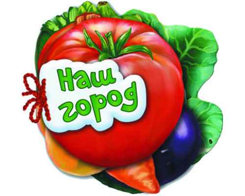 Дитяча книжка Відгадай-но Наш город 248005  укр. мовою