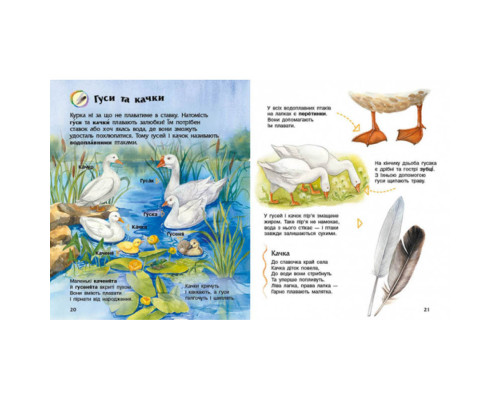 Енциклопедія дошкільника Домашні тварини 614029 для найменших