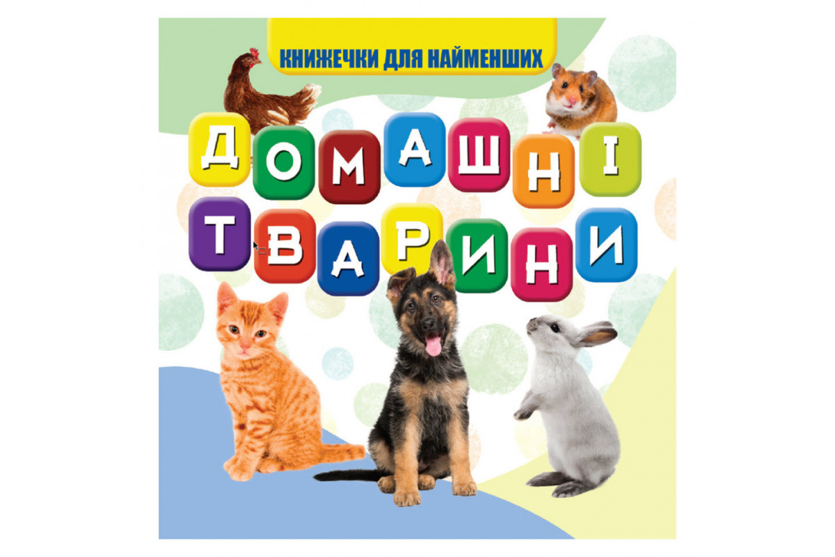 Моя перша книжечка Домашні тварини VR06041703-N, 10 сторінок Моя перша книжечка Домашні тварини VR06041703-N, 10 сторінок