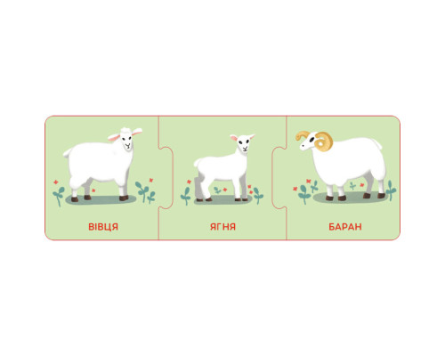 Логические цепочки "Малыши животные и их семьи" 1782001 на украинском языке