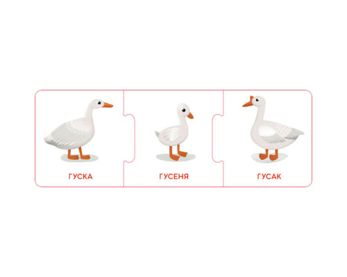 Логические цепочки "Малыши животные и их семьи" 1782001 на украинском языке