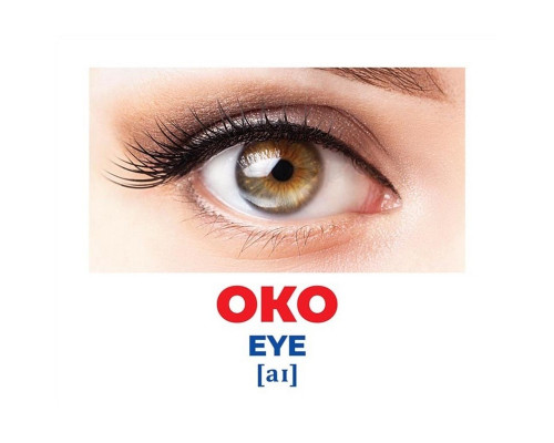 Набор развивающих карточек Гений с пеленок "Строение тела" Ранок 10107202, 17 карточек