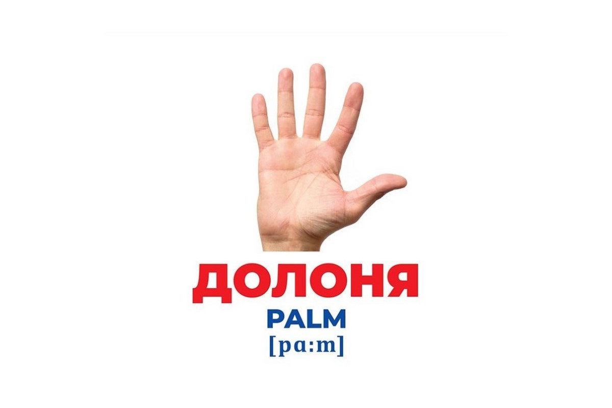 Набір розвиваючих карток Геній з пелюшок "Будова структура" Ранок 10107202, 17 карток