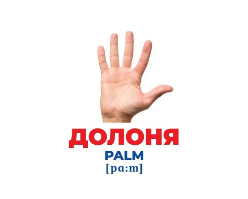 Набор развивающих карточек Гений с пеленок "Строение тела" Ранок 10107202, 17 карточек