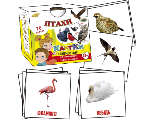 Обучающие карточки Глена Домана. "Птицы" MKD0018