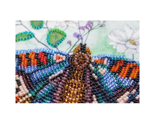 Набір-міді для вишивання бісером "Кольорова гармонія" AMB-103 на натуральному полотні