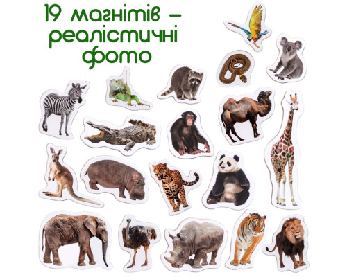 Набір магнітів Зоо 19шт ML4031-02 EN