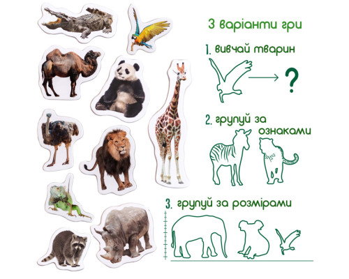 Набір магнітів Зоо 19шт ML4031-02 EN