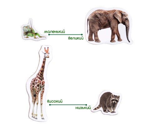 Набір магнітів Зоо 19шт ML4031-02 EN