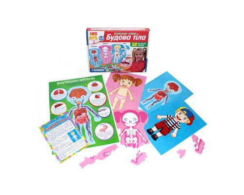 Учебные пазлы "Телосложение" 13164012, 58 больших пазлов, плакат