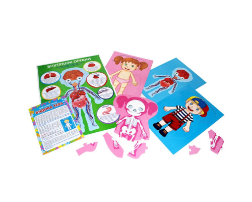 Учебные пазлы "Телосложение" 13164012, 58 больших пазлов, плакат