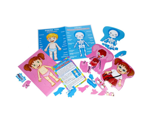 Учебные пазлы "Телосложение" 13164012, 58 больших пазлов, плакат