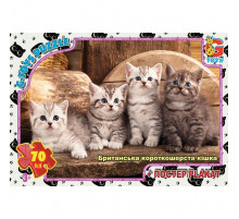 Пазли дитячі "Домашні улюбленці" AN146, 70 елементів