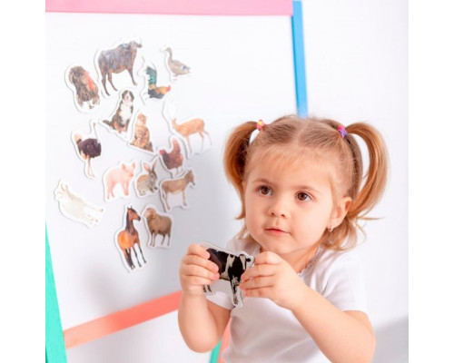 Набір магнітів Magdum "Ферма реалістичні" ML4031-04 EN