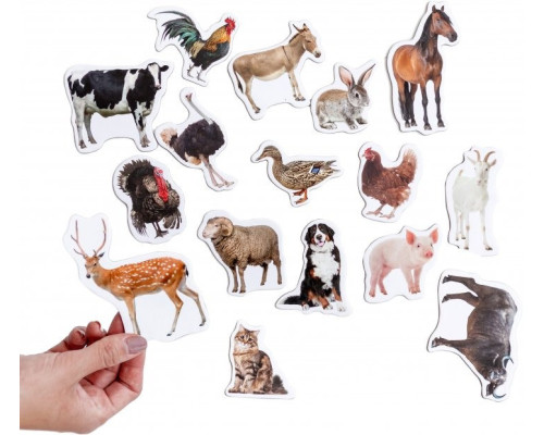 Набір магнітів Magdum "Ферма реалістичні" ML4031-04 EN