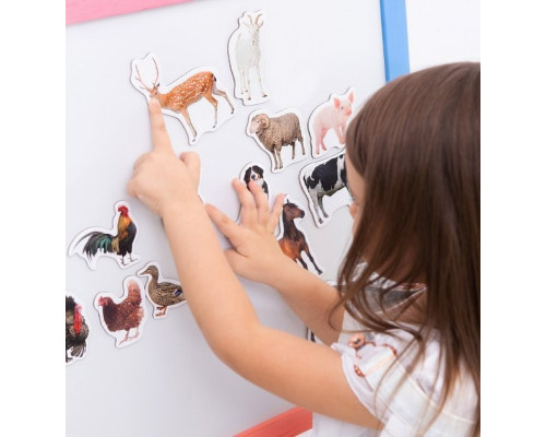 Набір магнітів Magdum "Ферма реалістичні" ML4031-04 EN