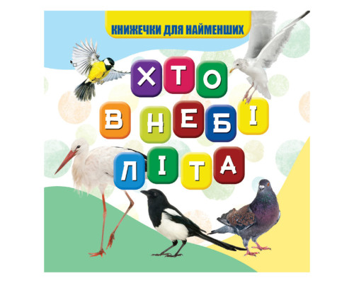 Моя перша книжечка Хто в небі літає VR06041708, 10 сторінок
