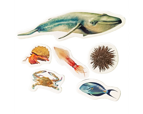 Дитячий набір магнітів "Мешканці морів та океанів" ML4032-27 в наборі 6 магнітів