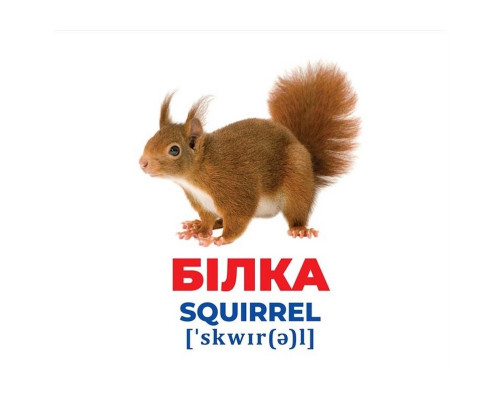 Набор развивающих карточек Гений с пеленок "Животные Украины" Ранок 10107192У, 17 карточек