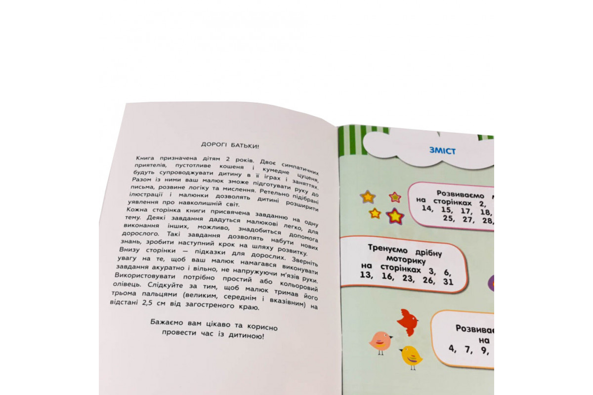 Навчальна книга Кмітливчики для малюків 2 роки 132 788