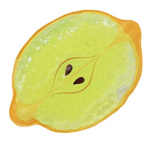 Іграшка антистрес з орбізами Lemon MQ10276(Lemon)