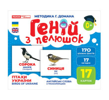 Набір розвиваючих карток Геній з пелюшок "Птахи України" Ранок 10107193У, 17 карток